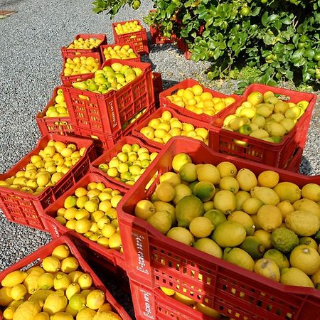 Profumo Di Zagara Acireale Villa Dış mekan fotoğraf
