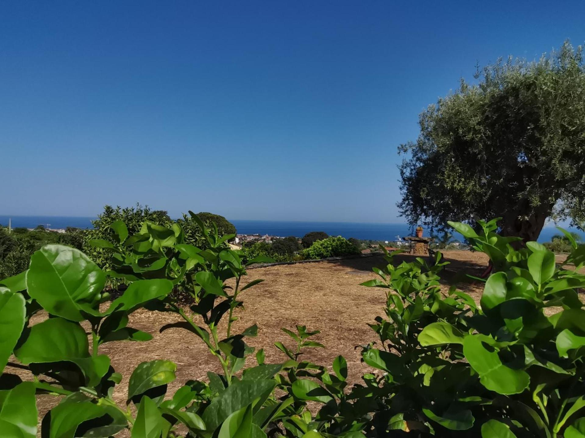 Profumo Di Zagara Acireale Villa Dış mekan fotoğraf