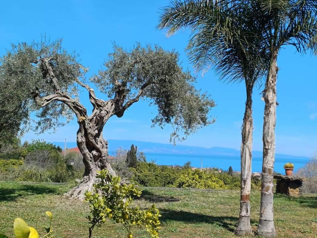 Profumo Di Zagara Acireale Villa Dış mekan fotoğraf